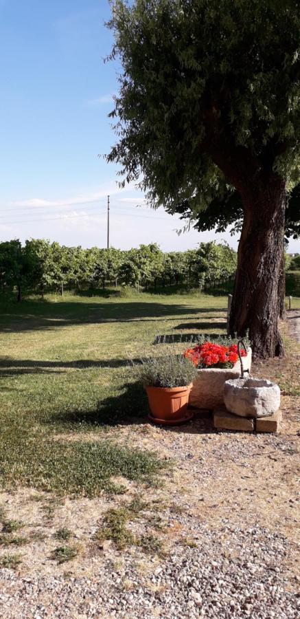 Agriturismo Vitae Fabbrico Buitenkant foto