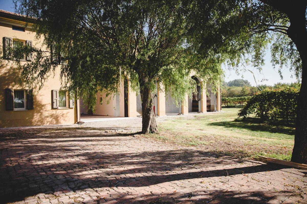 Agriturismo Vitae Fabbrico Buitenkant foto