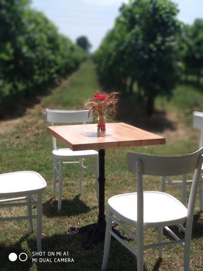 Agriturismo Vitae Fabbrico Buitenkant foto