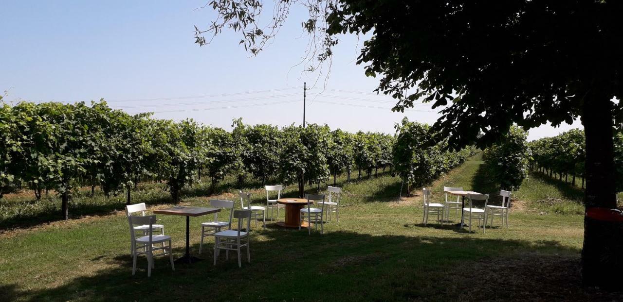 Agriturismo Vitae Fabbrico Buitenkant foto