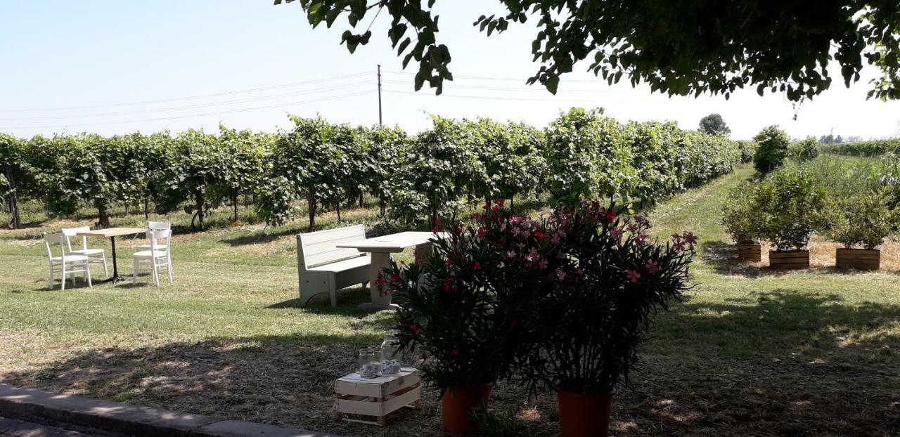 Agriturismo Vitae Fabbrico Buitenkant foto