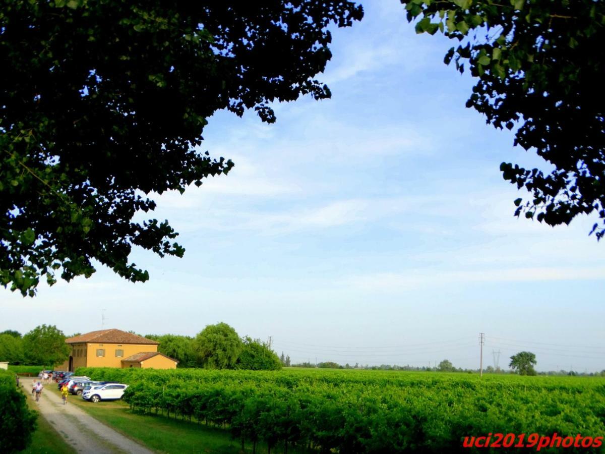 Agriturismo Vitae Fabbrico Buitenkant foto
